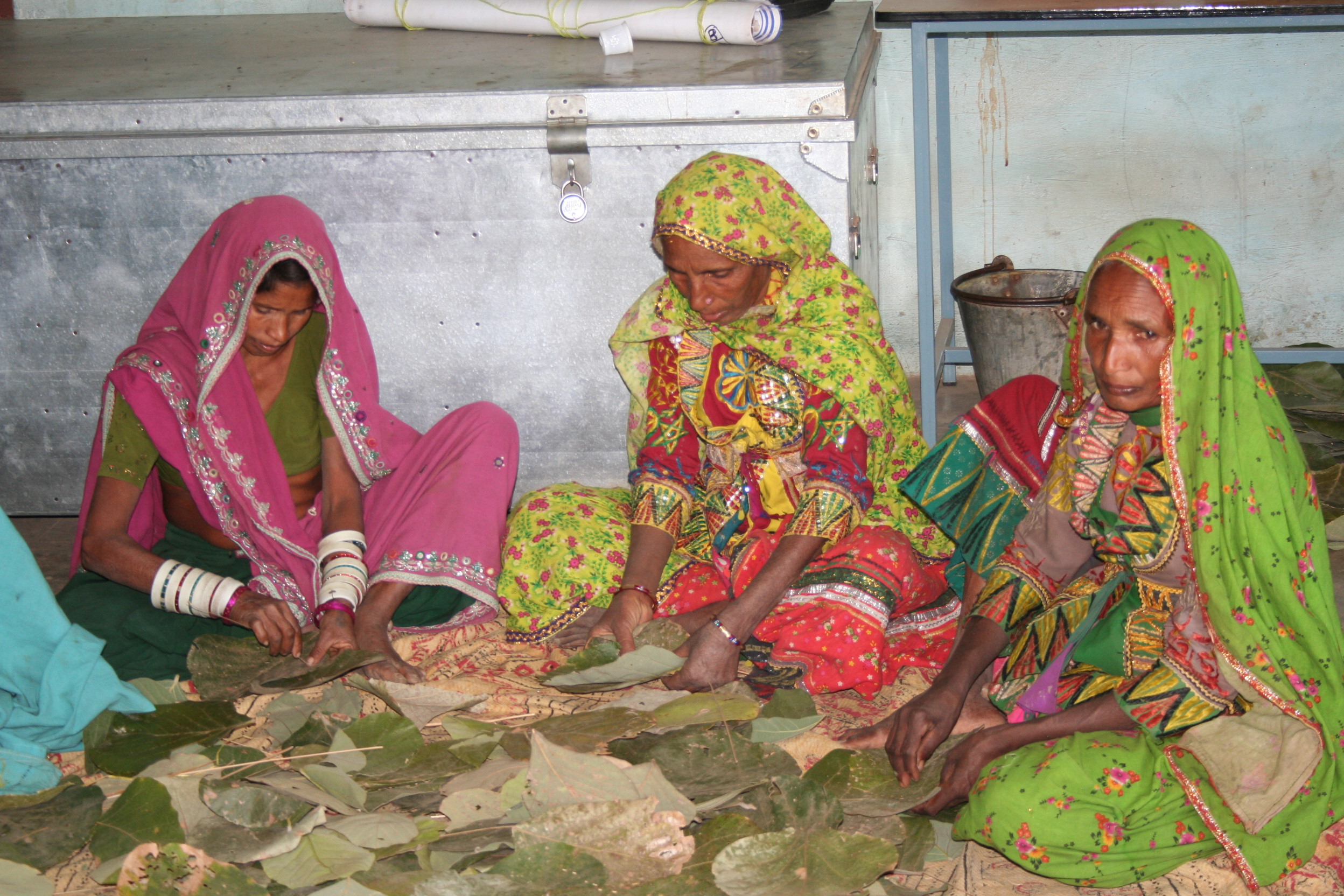 Focus on innovation and replication of successful models